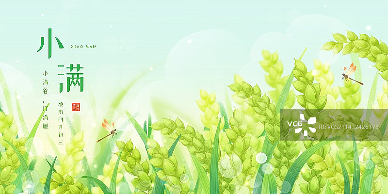 小满节气-手绘清新麦田麦穗绿色海报图片素材