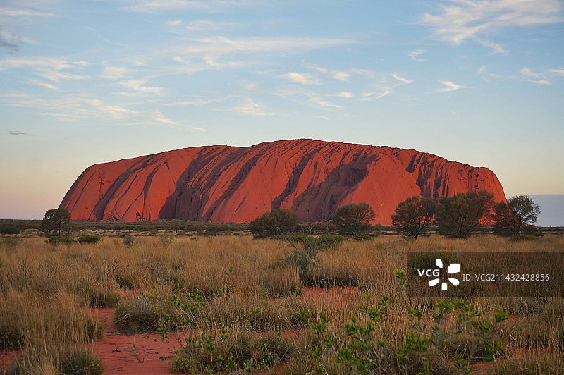 玫瑰色的乌卢鲁国家公园艾尔斯岩图片素材