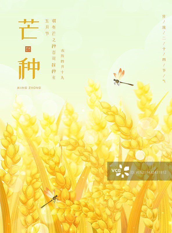 芒种节气-金色农田收获丰收节麦田麦穗手绘海报图片素材