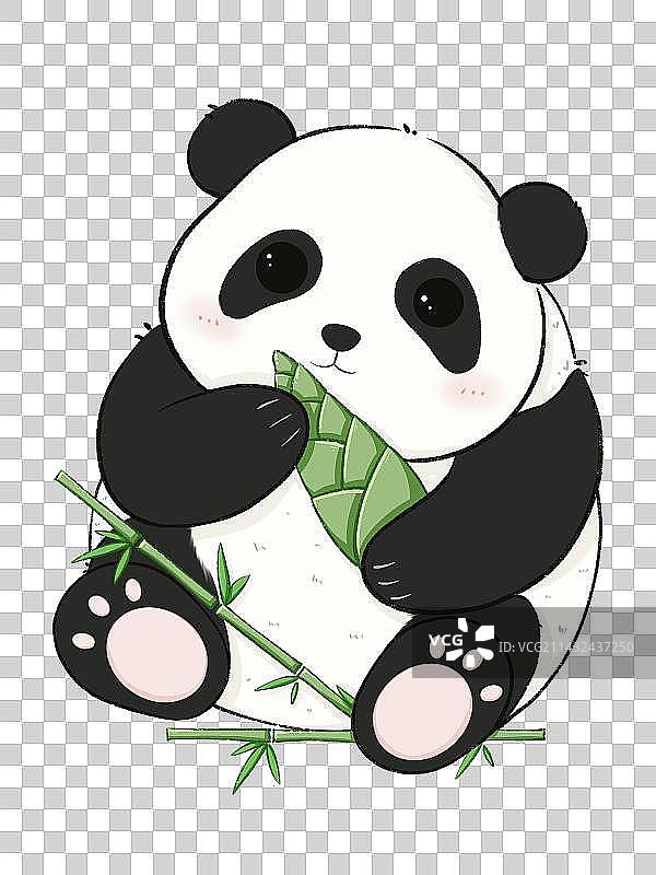 吃竹子的大熊猫图片素材