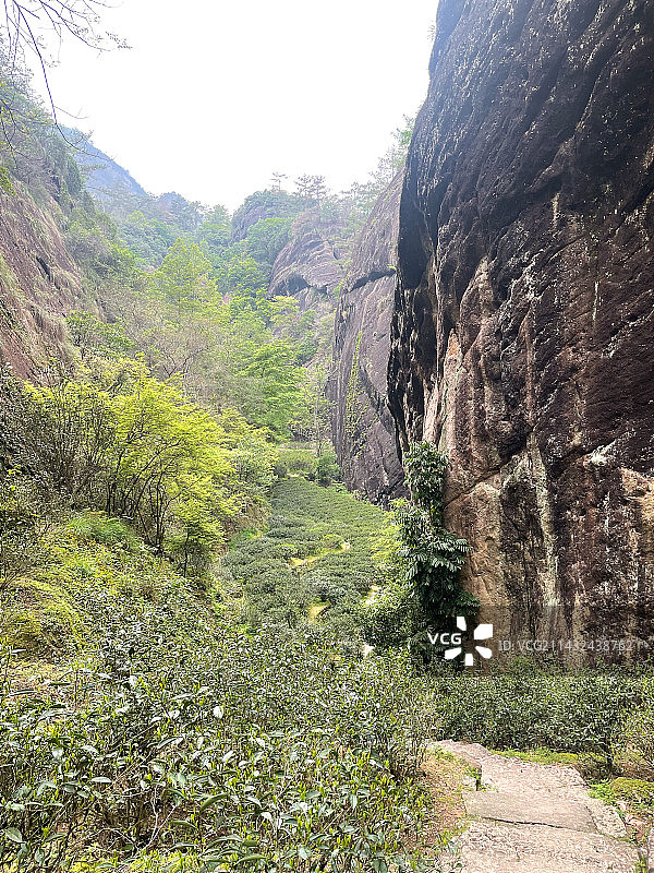 武夷山岩骨花香漫步道风光图片素材