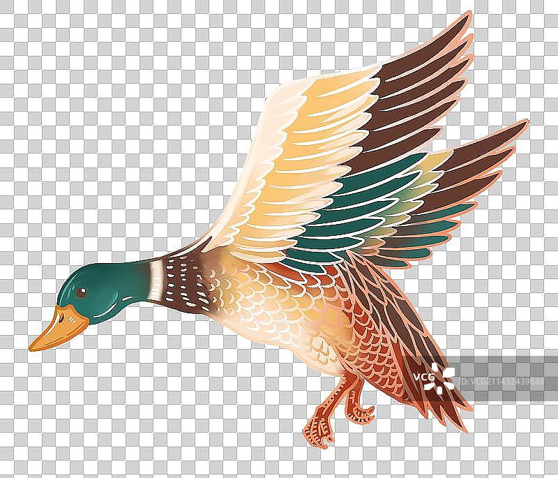 国潮鸭子手绘元素插画图片素材