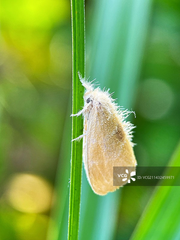 瞧一瞧图片素材