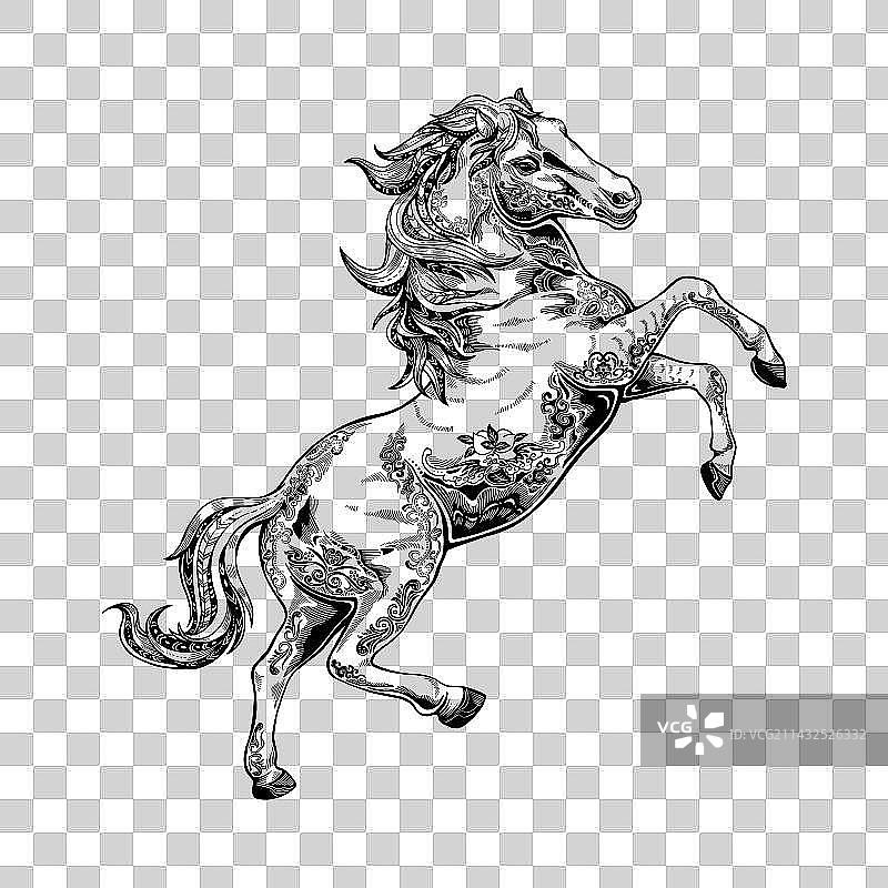 十二生肖马图片素材