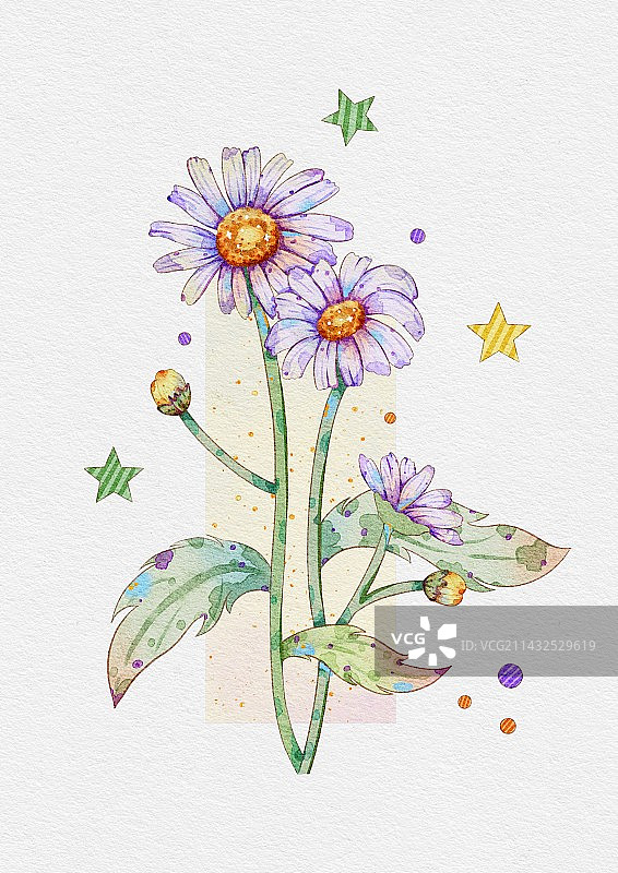 花卉雏菊图片素材