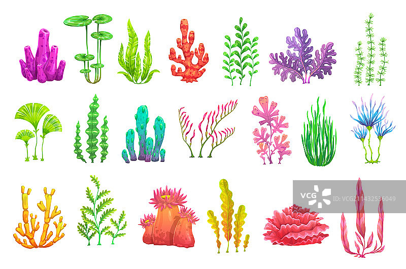 卡通水下海藻植物合集图片素材