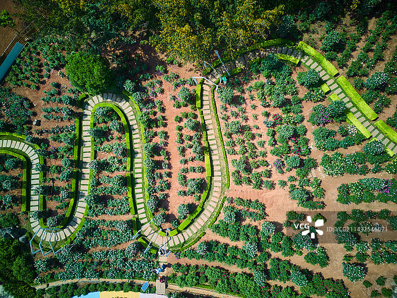 成都漫花庄园玫瑰园航拍视角图片素材