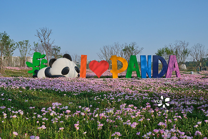 成都熊猫广场月见草花海图片素材