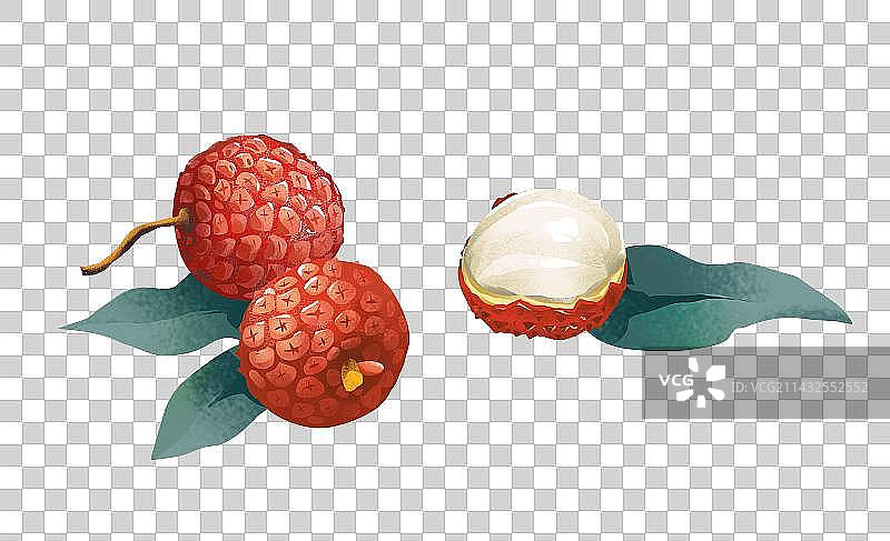 荔枝插画元素图片素材