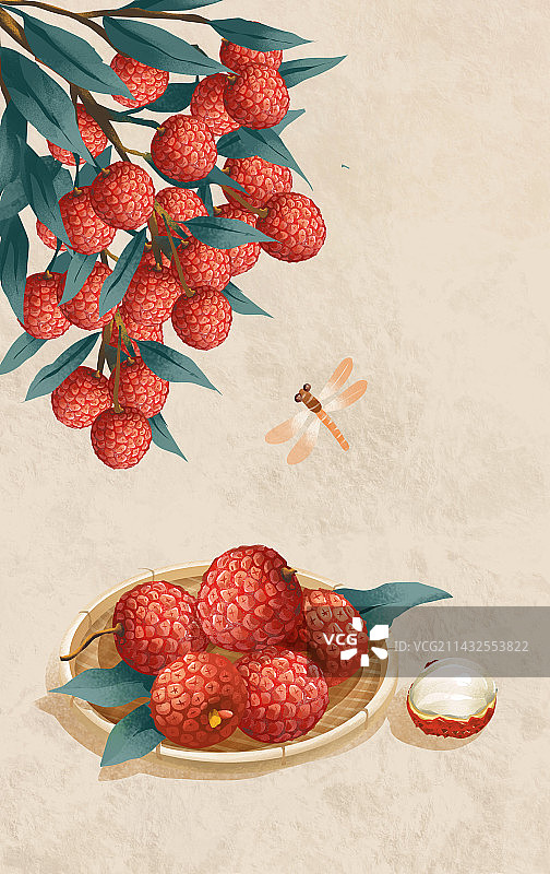 二十四节气之大暑水果 荔枝图片素材