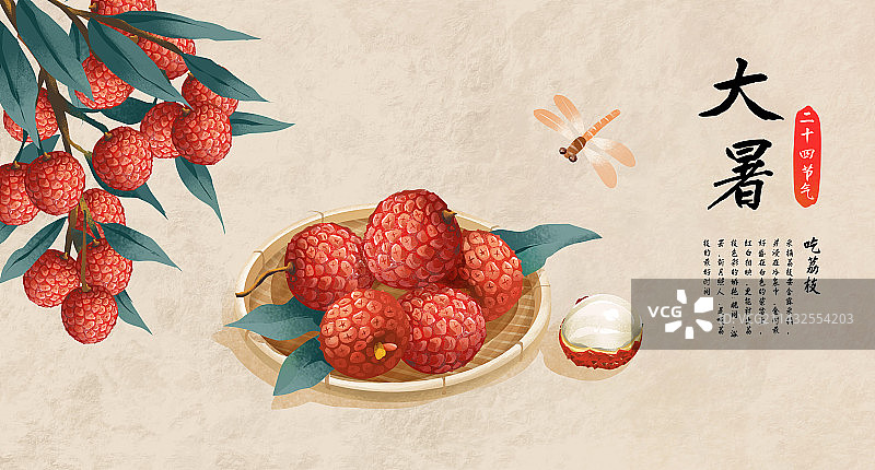 二十四节气之大暑特色水果 荔枝图片素材