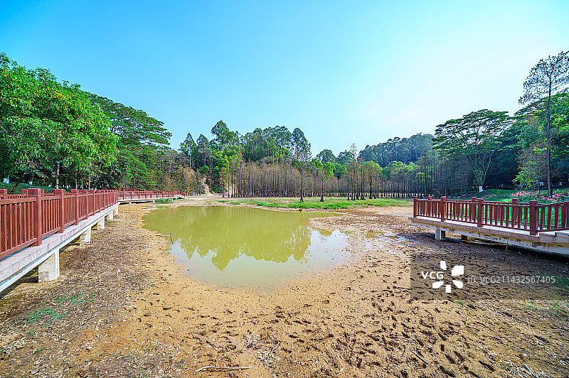 广州番禺大夫山森林公园干涸湖泊水塘图片素材