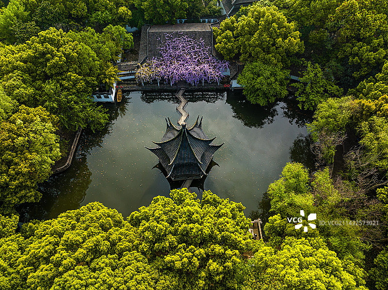 苏州园林，西园，春季航拍图片素材