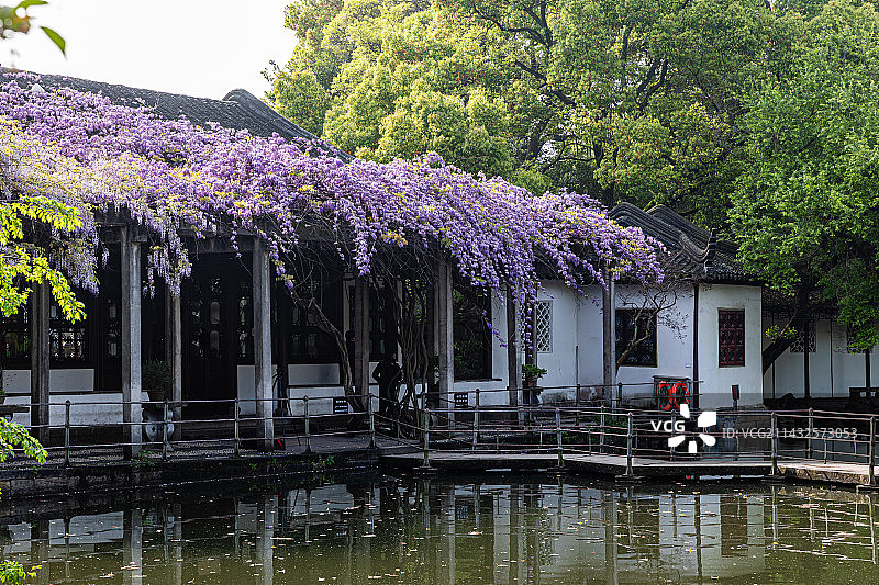 苏州园林，西园，春季风光图片素材