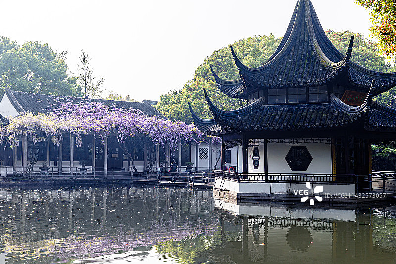 苏州园林，西园，春季风光图片素材