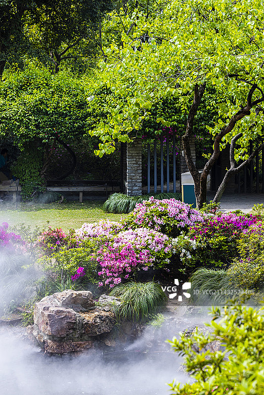 满园春色上海植物园图片素材