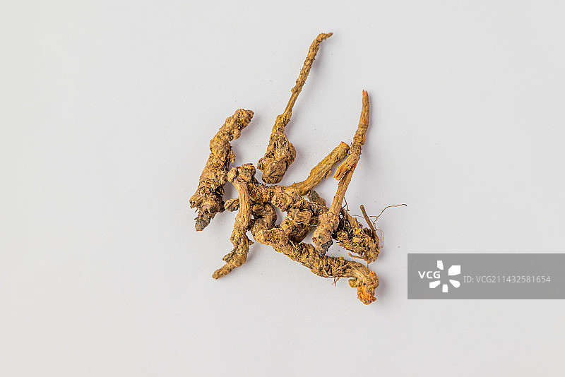 黄连-中医中药材草药临床医药标本百科白背景俯拍合集图片素材