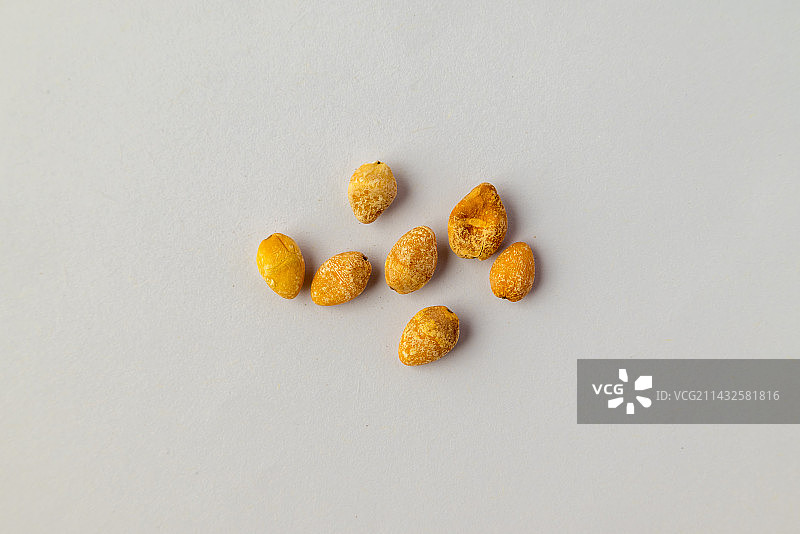 白果仁-中医中药材草药临床医药标本百科白背景俯拍合集图片素材