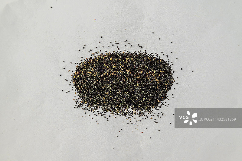 青葙子-中医中药材草药临床医药标本百科白背景俯拍合集图片素材