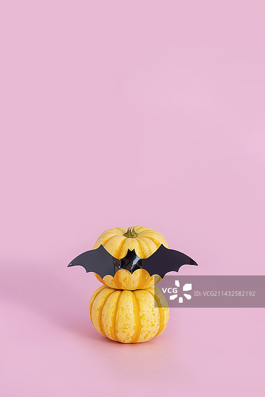 蝙蝠南瓜万圣节粉色背景图片素材