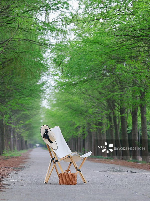 绿色树林里的休闲椅图片素材