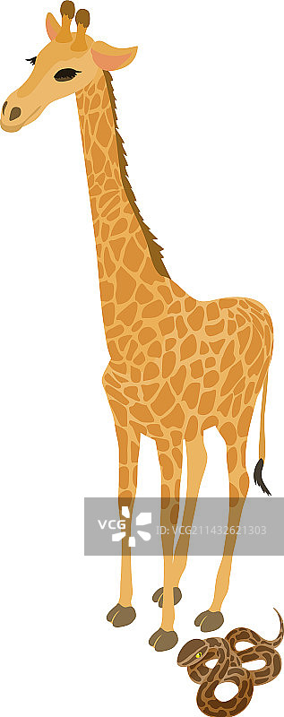 动物福利等距图标图片素材