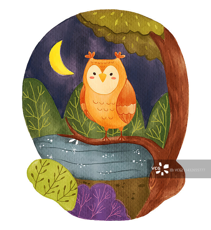 夜晚森林中树上的猫头鹰图片素材