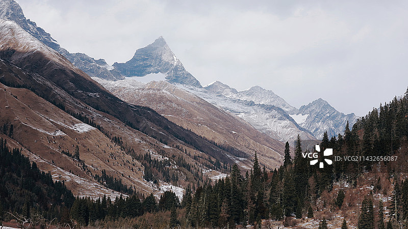 雪山森林图片素材