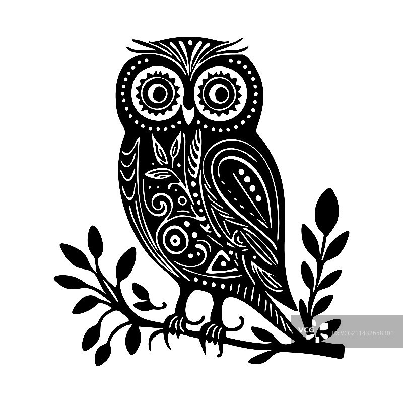 可爱的低眉猫头鹰鸟类学图片素材