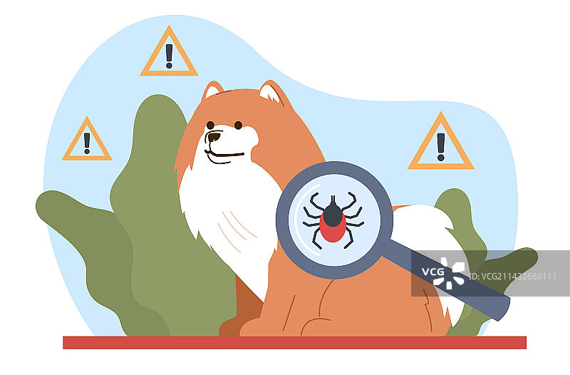 犬类蜱虫侵扰季初图片素材