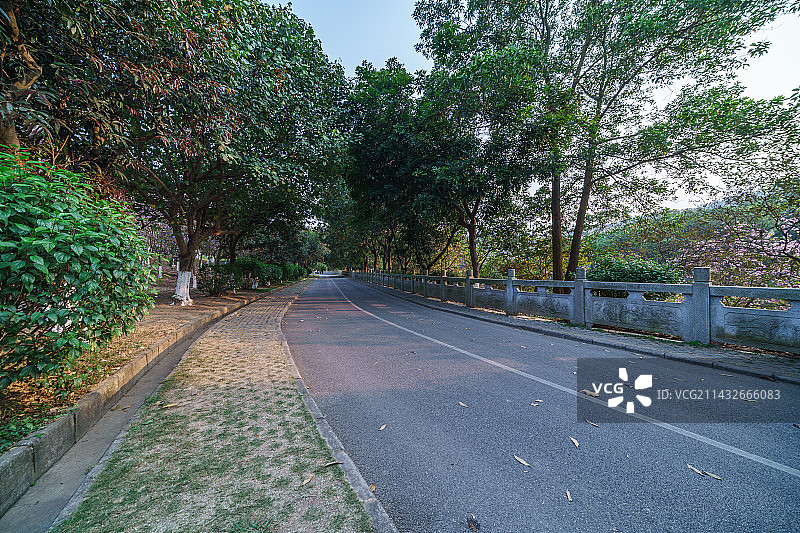广州番禺大夫山森林公园水泥公路图片素材