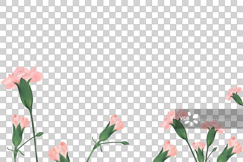 温柔粉色多支康乃馨元素图片素材