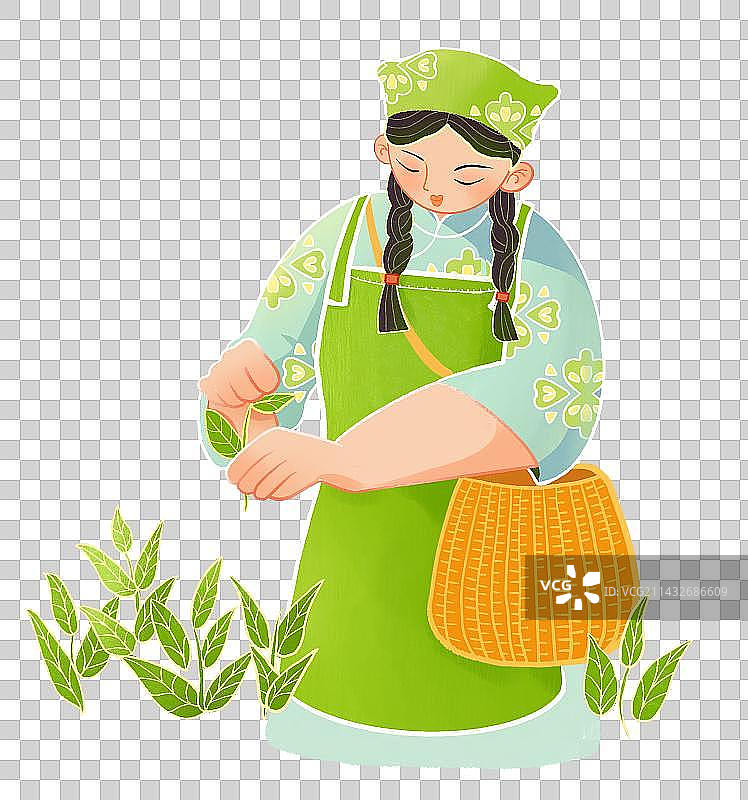 国风国潮采茶手绘插画图片素材