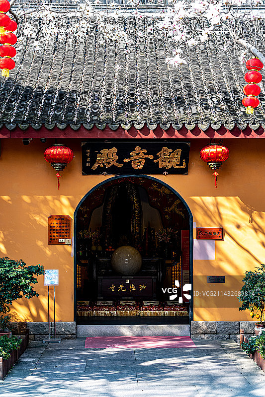 浙江湖州铁佛寺春天梅花开.黄墙黛瓦红梅佛教自然建筑文化图片素材