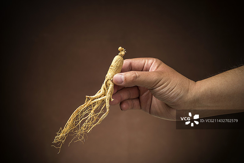 手拿名贵滋补中药材人参特写图片素材