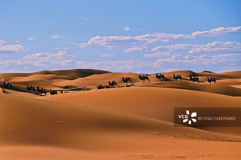 腾格里沙漠图片素材