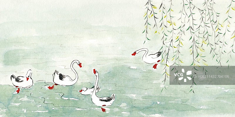 手绘插画中国画古诗词插图咏鹅图片素材