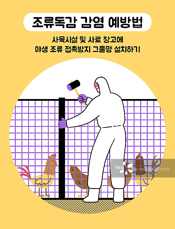 禽流感，疾病预防，安全守则，鸟类，病毒，传染病，防护服，家畜，鸡，金属丝网，隔离检疫图片素材