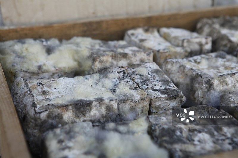 毛豆腐图片素材