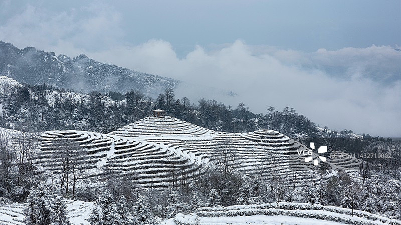 蓝天白云蜿蜒茶山冬天雪景图片素材