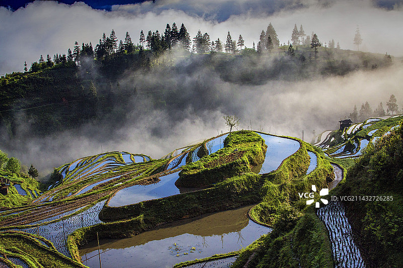 中国.贵州，加榜梯田图片素材