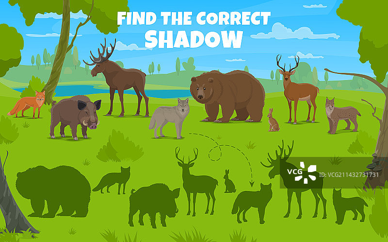 找出猎食动物和鸟类的正确阴影图片素材