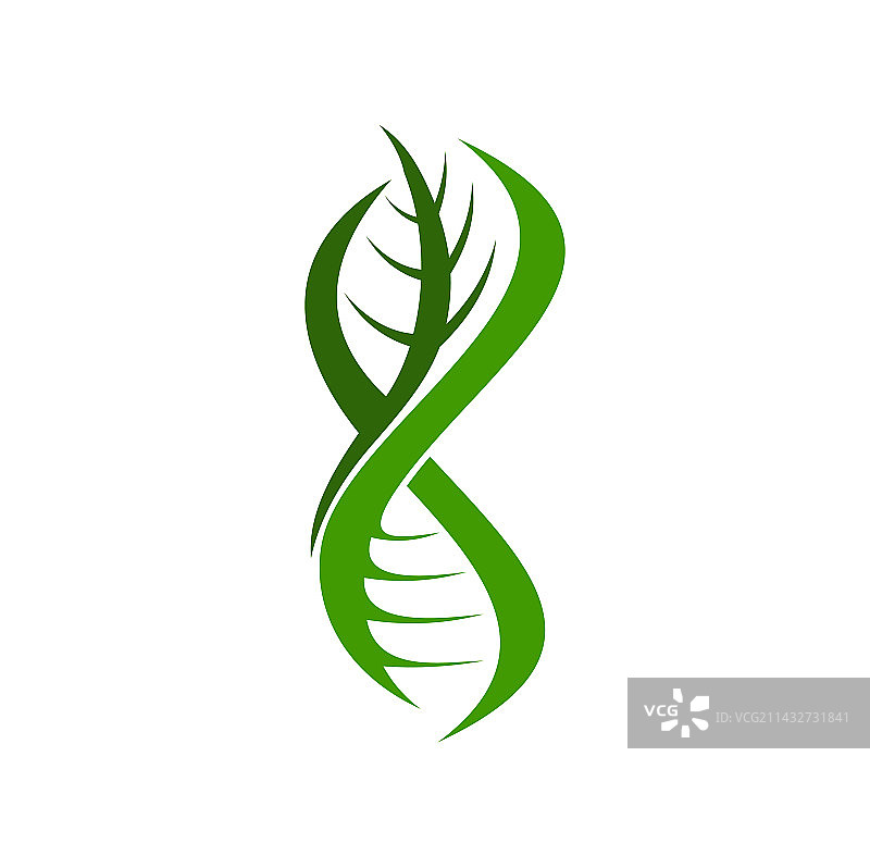植物叶子DNA螺旋基因科学图标图片素材