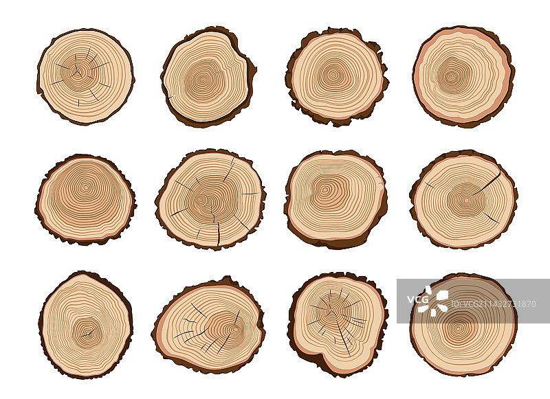 带有年轮的树桩木材图片素材