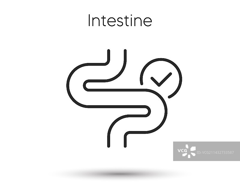 肠道线性图标消化系统健康图片素材