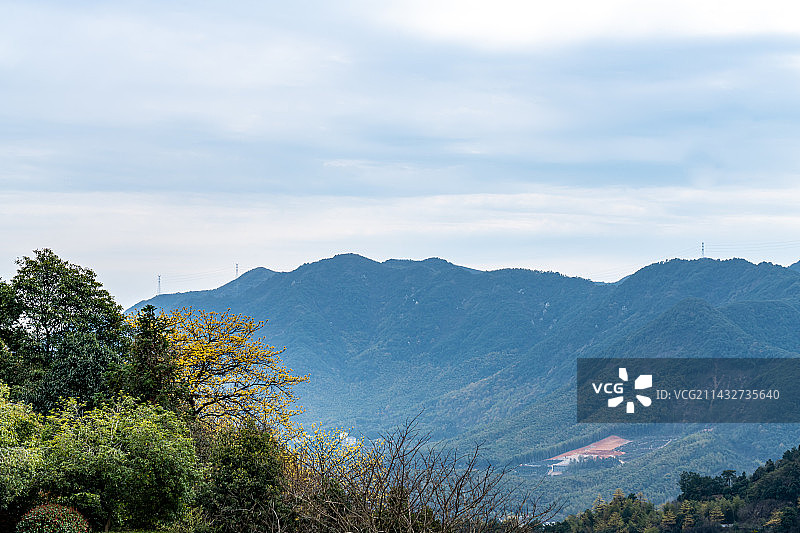 春天的浙江绍兴大香林兜率天风景区自然景观图片素材