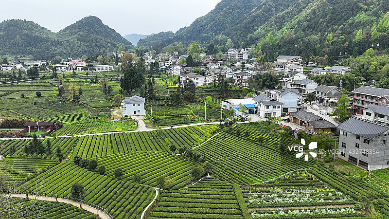 贵州凤冈茶海之心景区风景如画图片素材