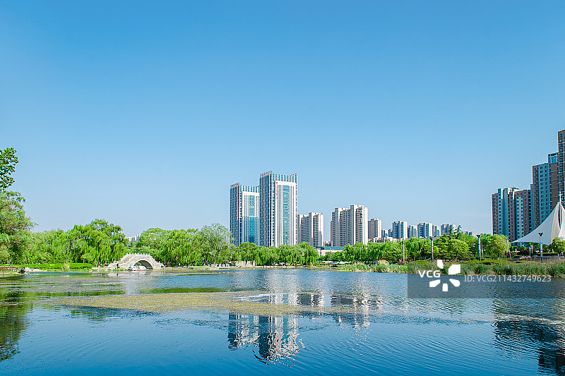 中国都市风格拍摄主题，山东泰安凤凰湖公园里的湖泊、树林，远处的住宅区，户外白昼无人图像摄影图片素材
