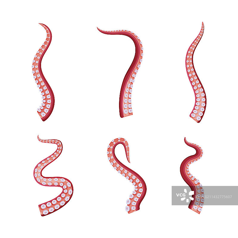 海洋动物触手章鱼元素图片素材