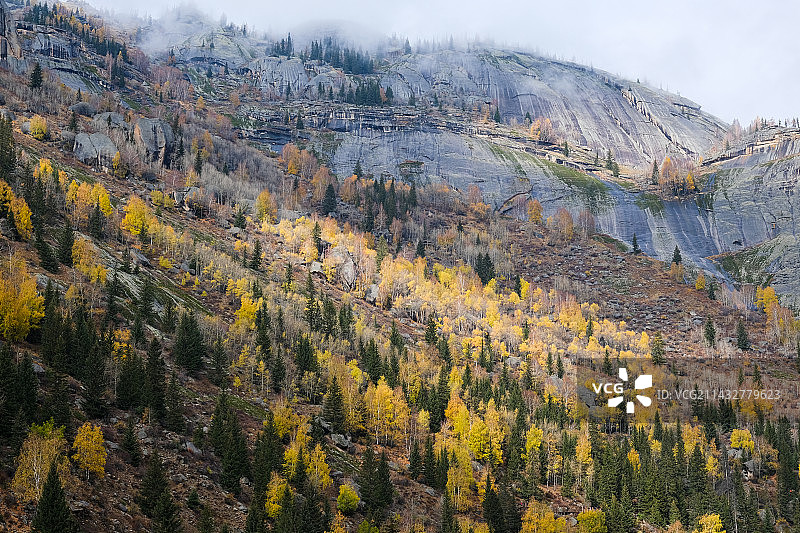 可可托海的秋天图片素材